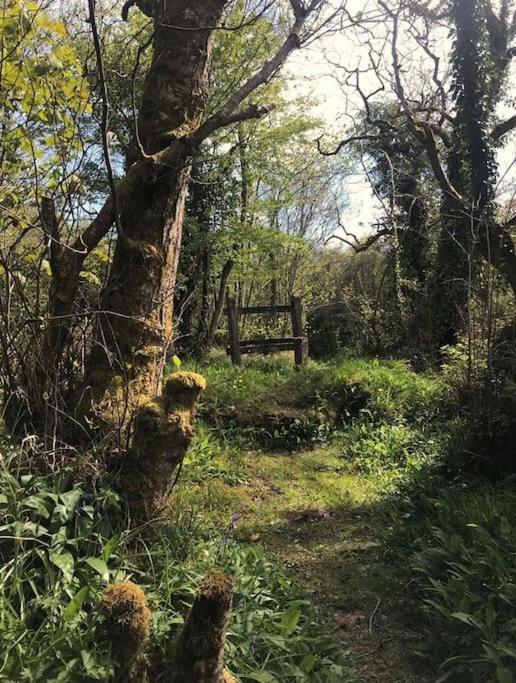 Appartamento Meadow Lane Sligo Esterno foto
