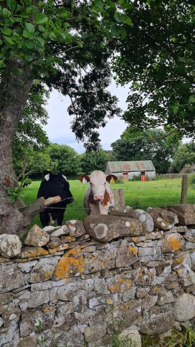 Appartamento Meadow Lane Sligo Esterno foto